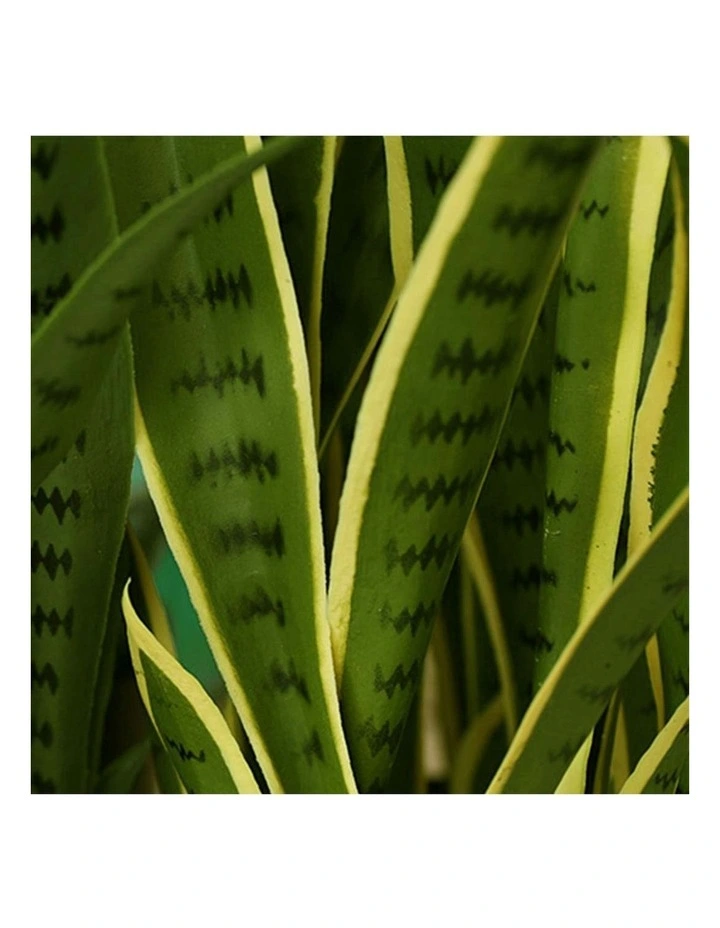 Edge Tiger Piran Artificial Plant 2X 50cm in Green image 6