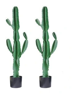 2X Artificial Indoor Cactus Tree Fake Plant in Green