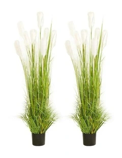 Wheat Plume Grass Artificial Plant 2X 150cm in Green