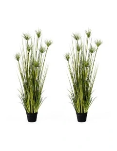 2X Papyrus Plant Tree in Green