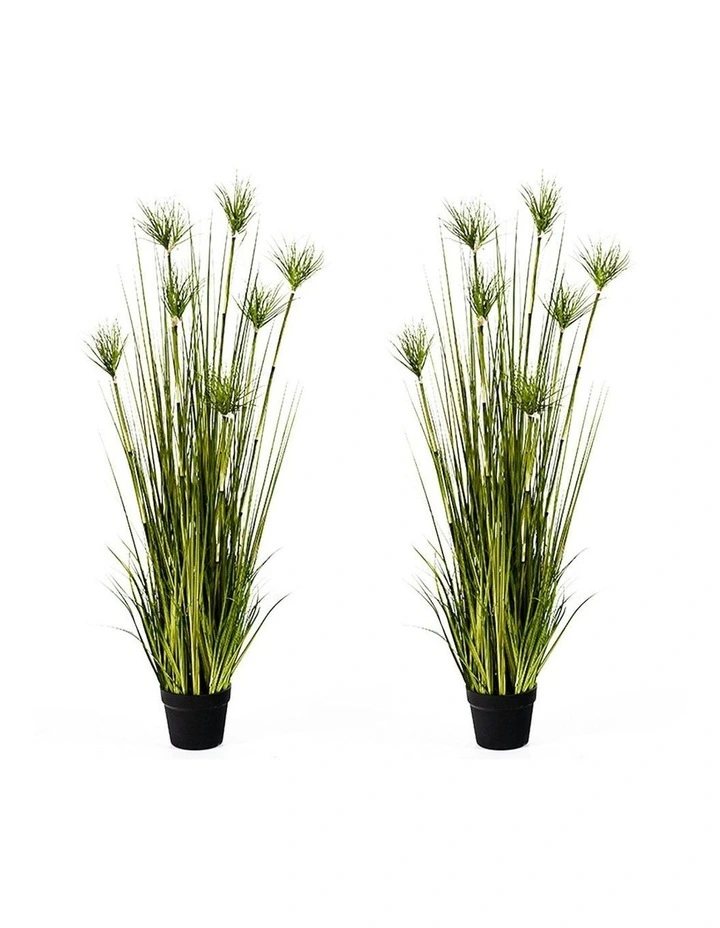 2X Papyrus Plant Tree in Green image 1