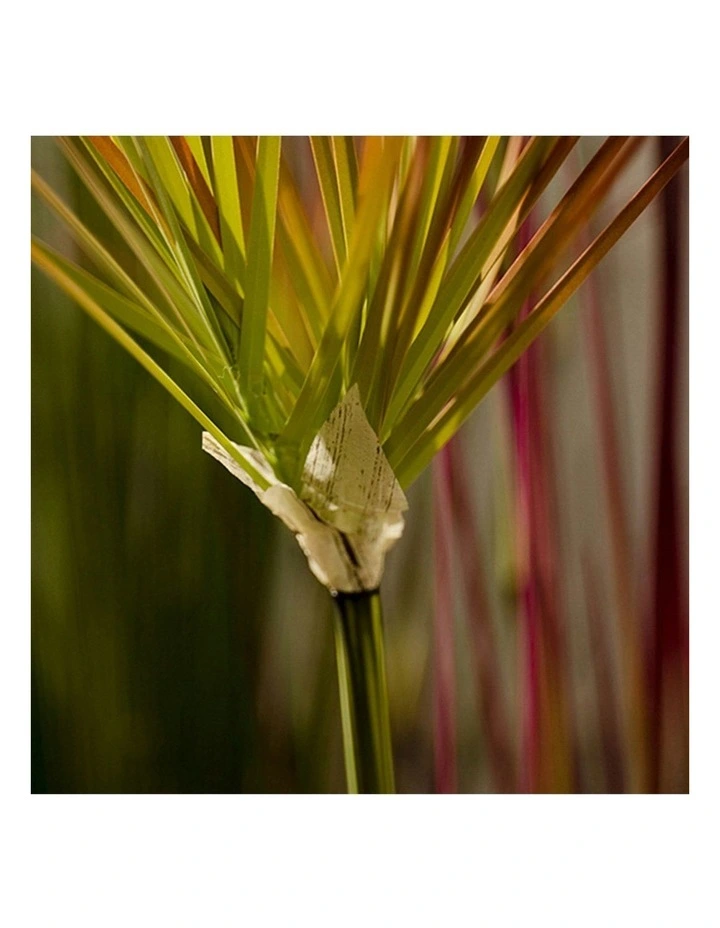 2X Artificial Indoor Potted Papyrus Plant Tree in Green image 6
