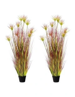 Potted Papyrus Artificial Plant 2X 150cm in Multi