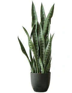 Snake Sansevieria Snake Artificial Plant 4X 95cm in Green
