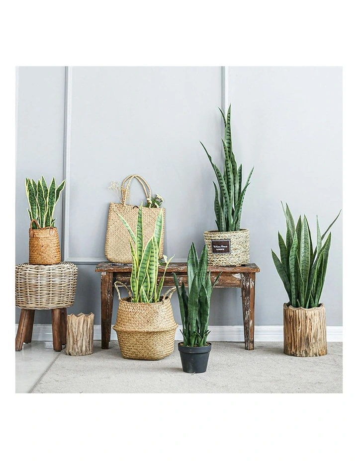 Snake Sansevieria Snake Artificial Plant 4X 95cm in Green image 5