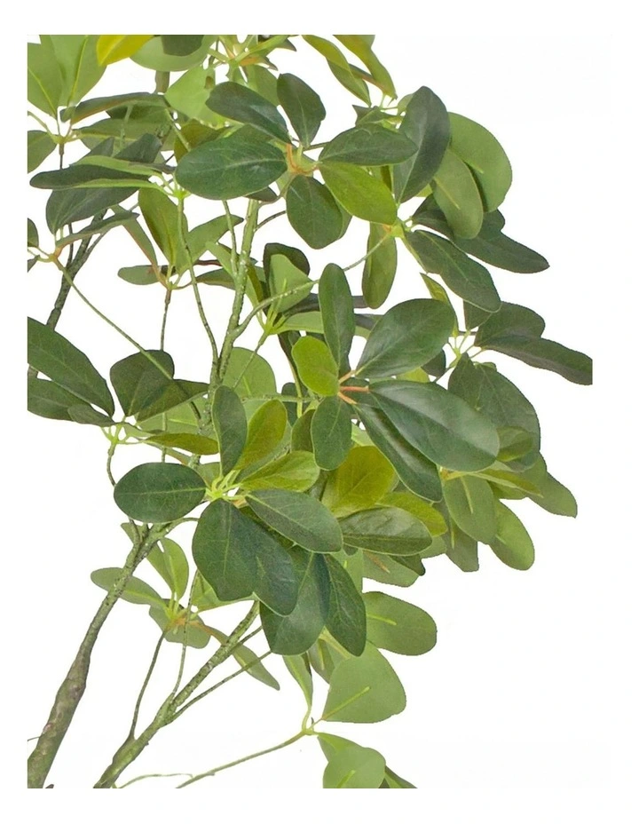 Artificial Schefflera Tree 80cm in Green image 6