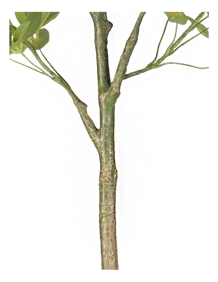 Artificial Schefflera Tree 80cm in Green image 7