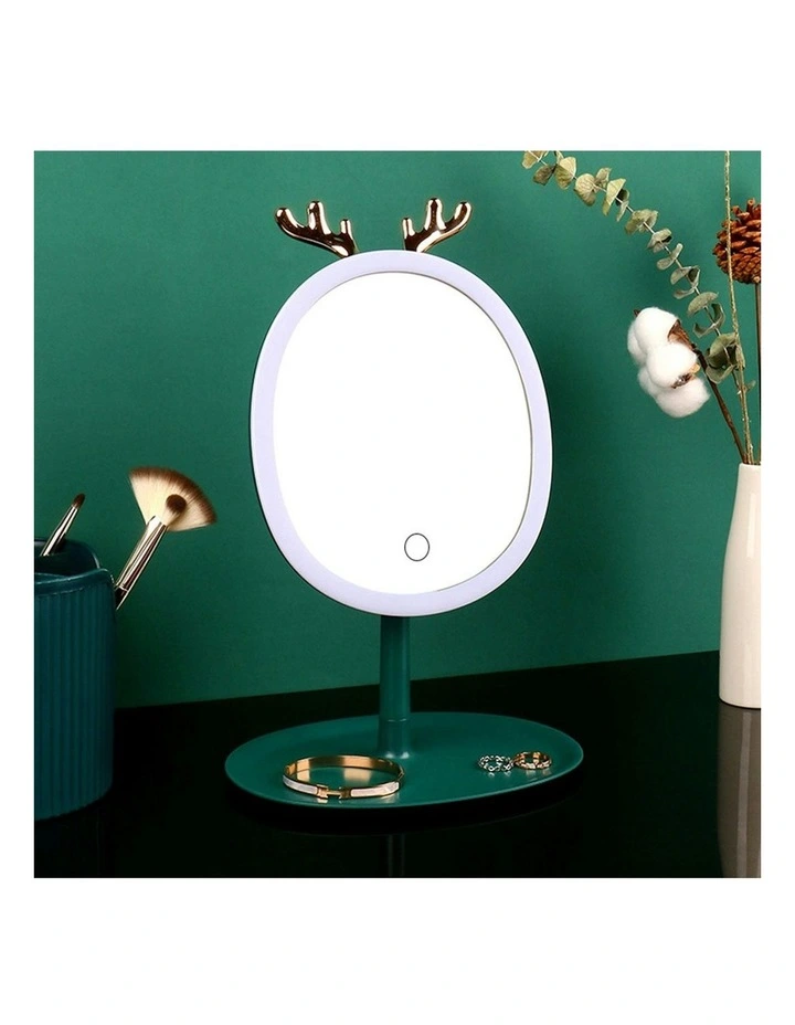 Cosmetic Jewelry Storage Organiser in Green image 3