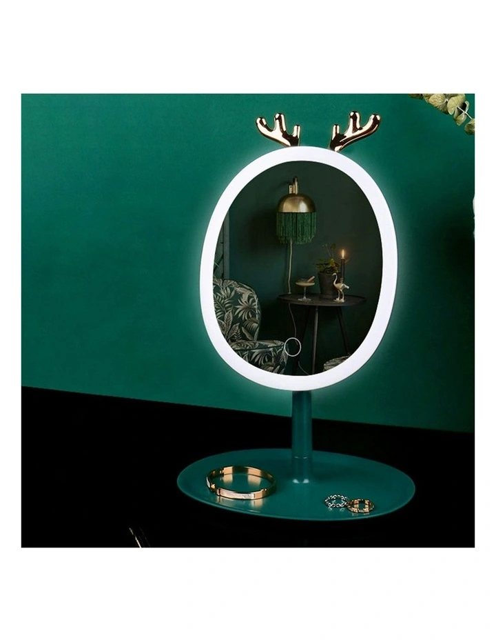 Cosmetic Jewelry Storage Organiser in Green image 4