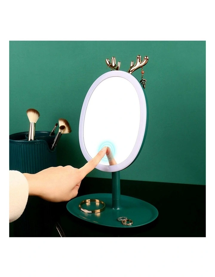Cosmetic Jewelry Storage Organiser in Green image 6