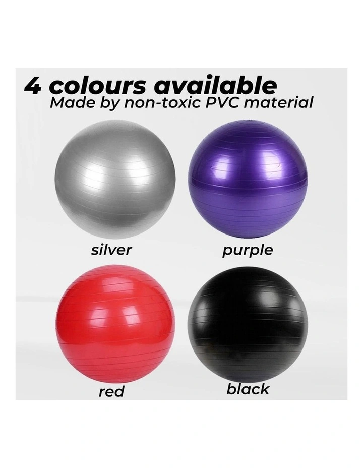 Yoga Ball with Pump for Pilates 55cm in Red image 3