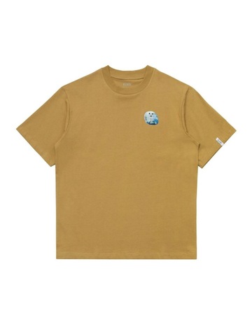 Sand colour