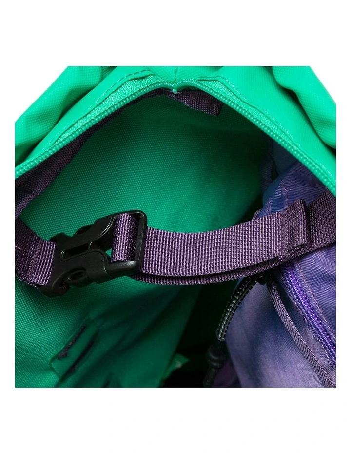 Penniyn Backpack Tote Bag 20L in Green image 5