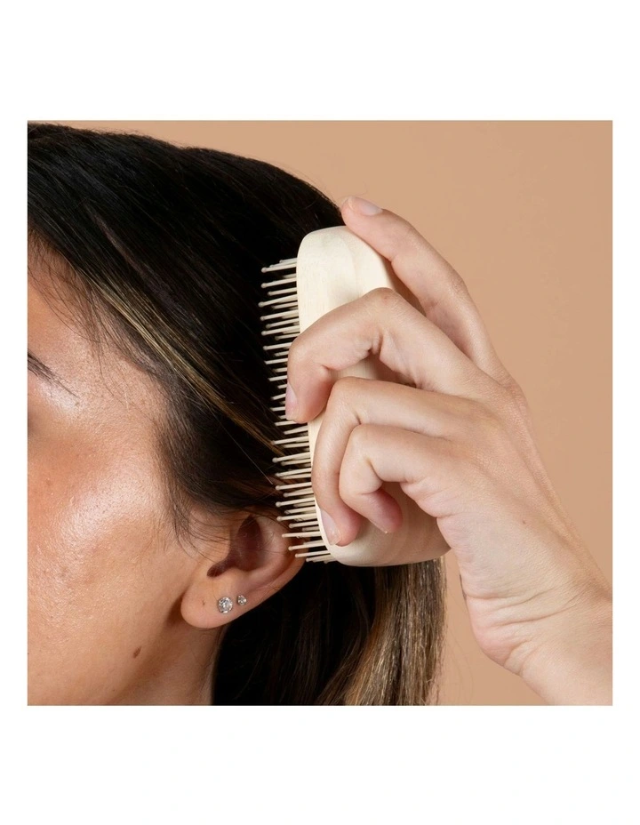 Travel Detangler Brush image 5