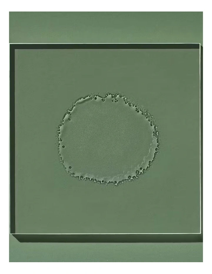 No.2 Citrus Rhapsody Toner Mist 15ml image 3