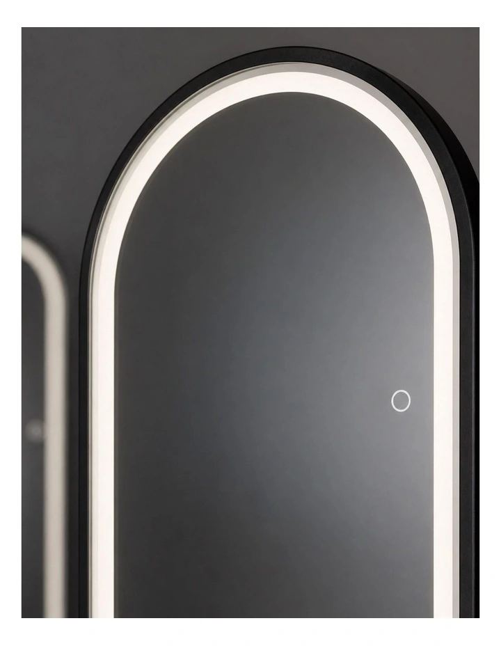 Full-Length Hanging Mirror 160x50cm with LED Lights, Touch Control, USB & Type-C Output image 4