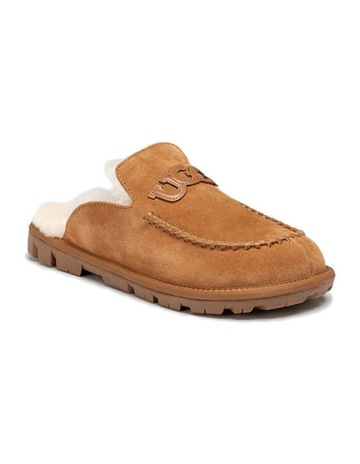 Chestnut colour