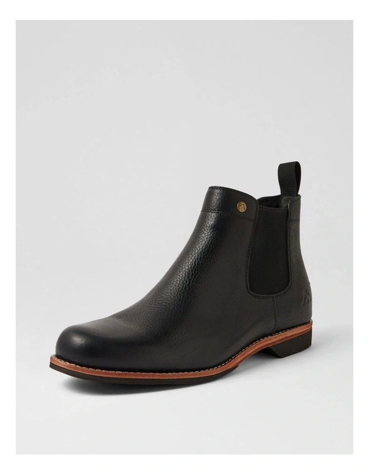 RITTER BLACK image 2