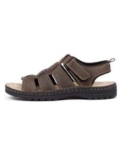 HOOK BROWN LEATHER