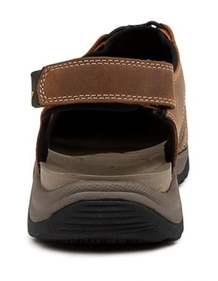 JAWS BROWN image 3