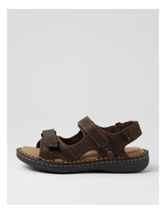 SURMON BROWN CRAZYHORSE