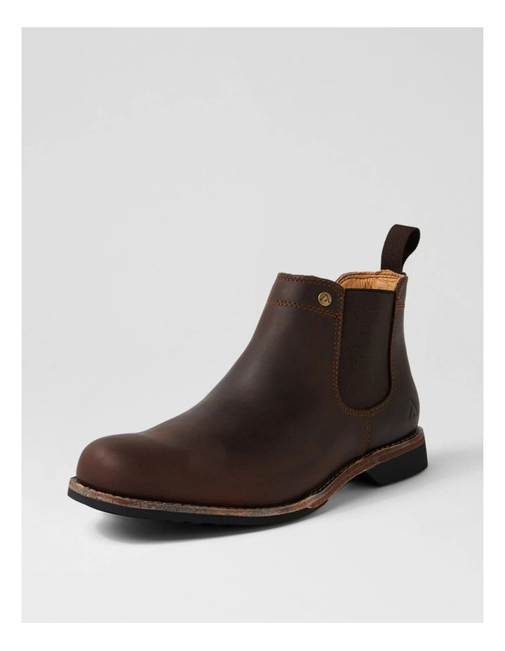 Ritter Brown Leather Chelsea Boots image 2