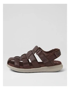 Hampshire Brown Leather Sandals