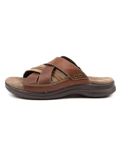 IVORY BROWN