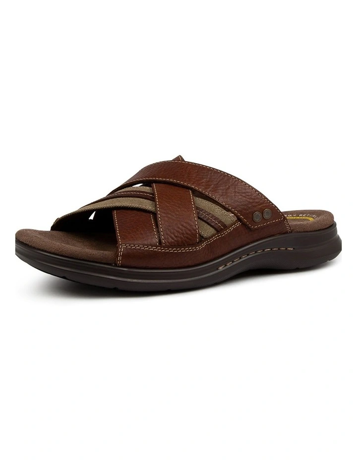 IVORY BROWN image 2