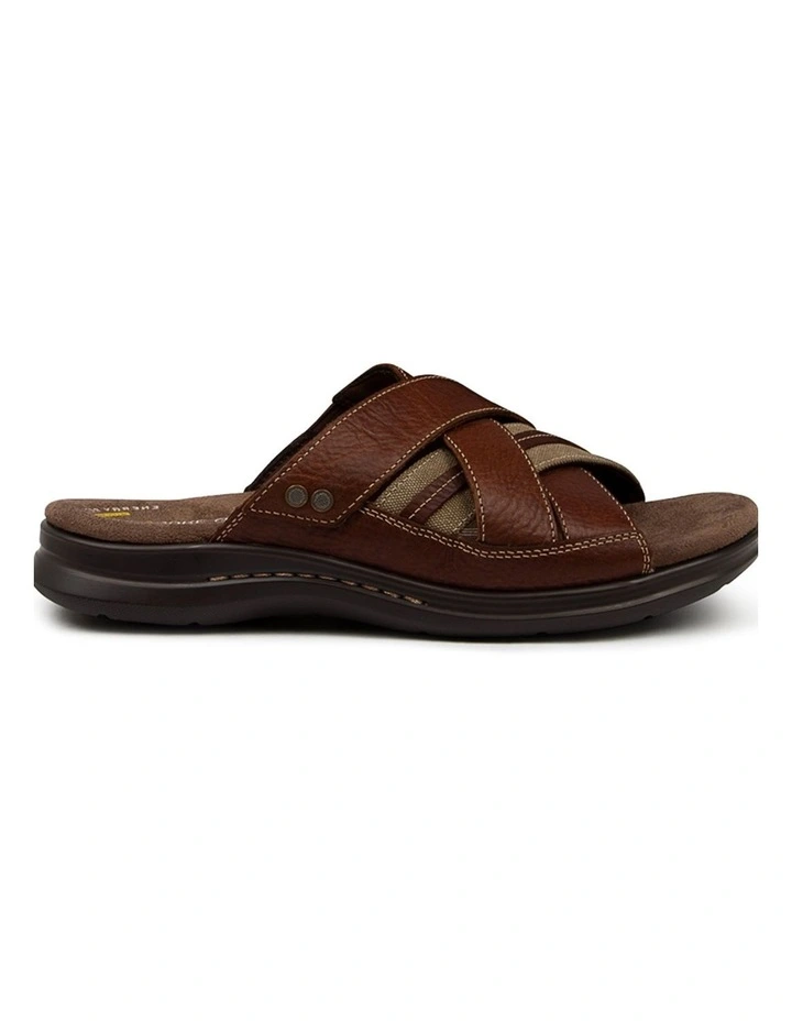IVORY BROWN image 4