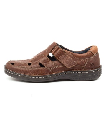 Brown colour