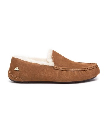 Chestnut colour
