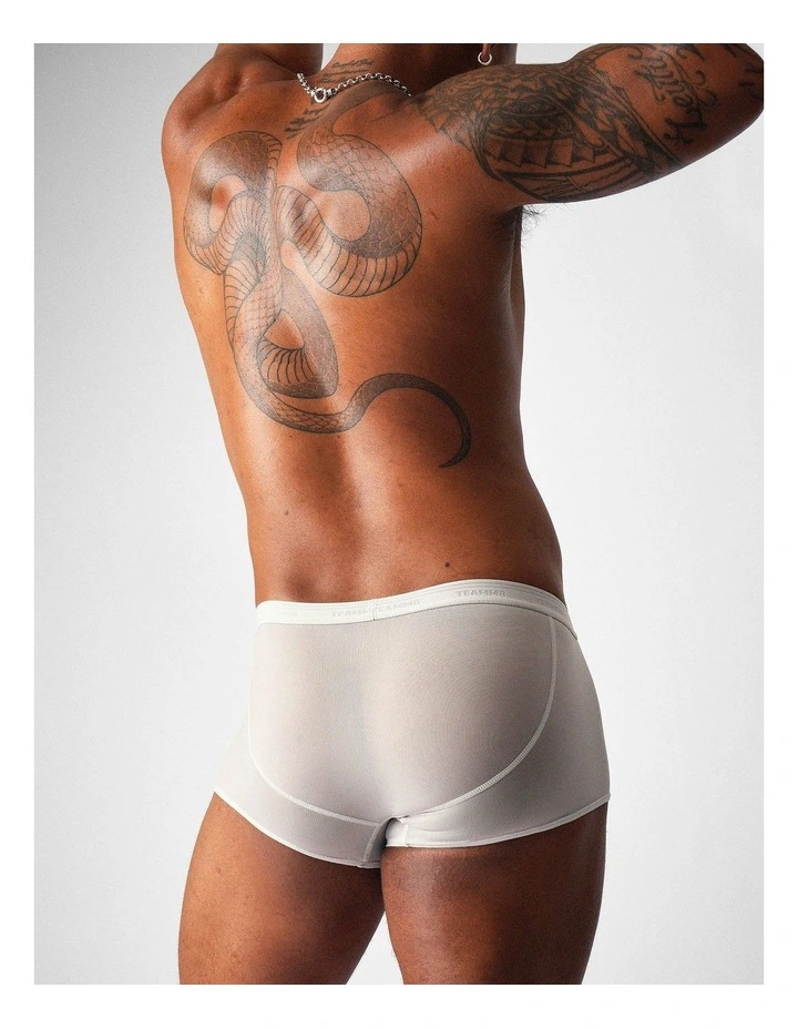 Allure Sheer Trunk in Platinum image 4