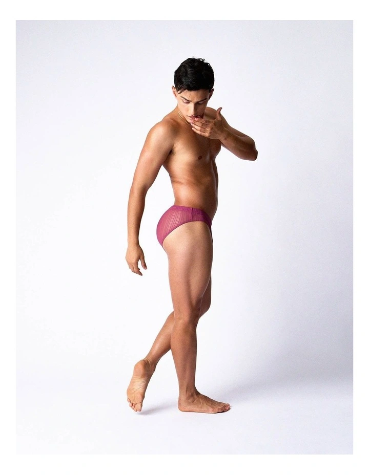 Romeo Sheer Bikini Brief in Dusk image 3
