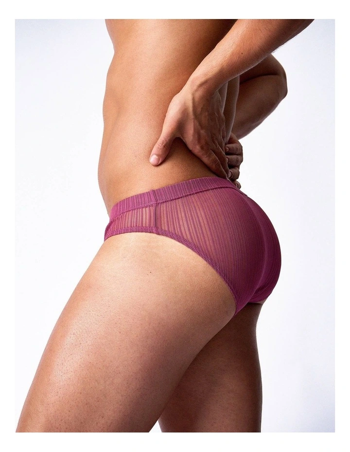 Romeo Sheer Bikini Brief in Dusk image 6