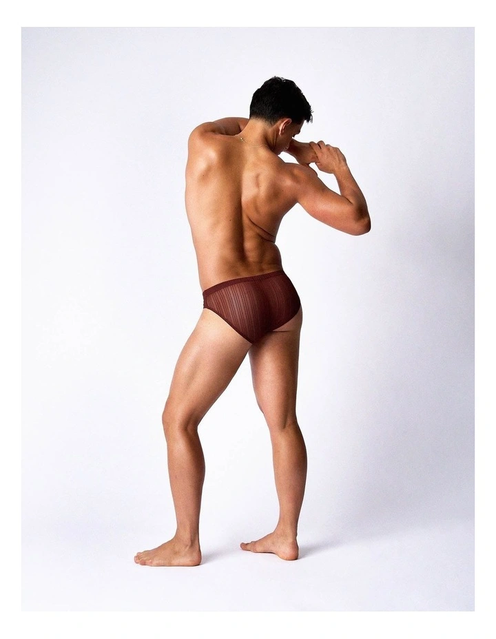 Romeo Sheer Bikini Brief in Mahogany image 1
