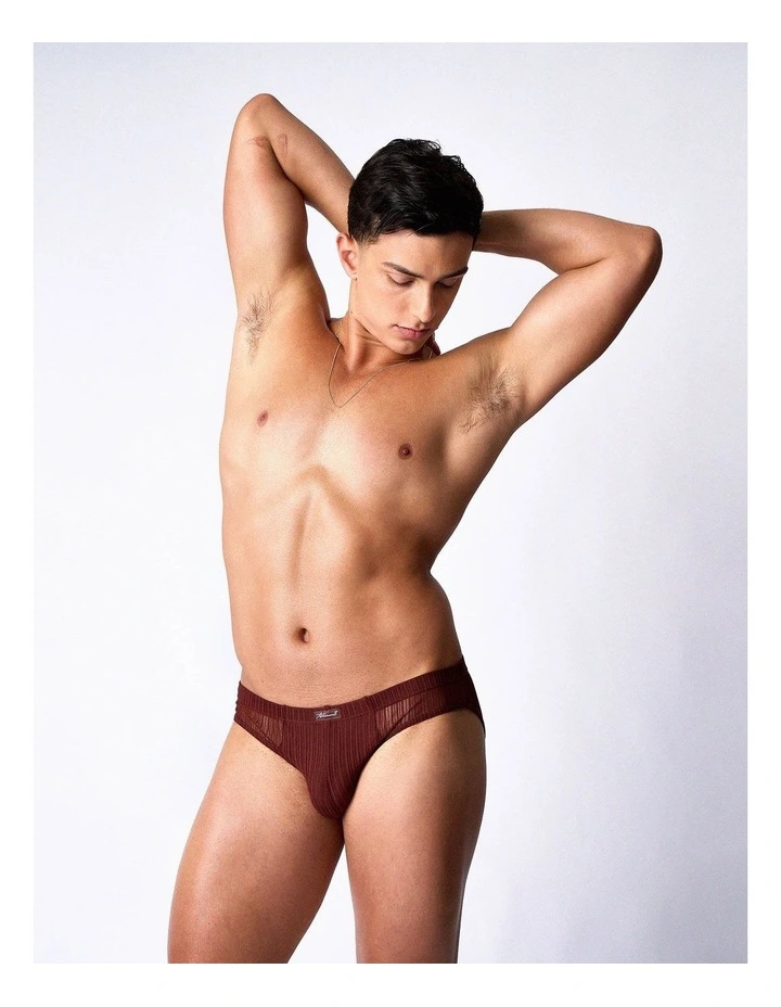 Romeo Sheer Bikini Brief in Mahogany image 2