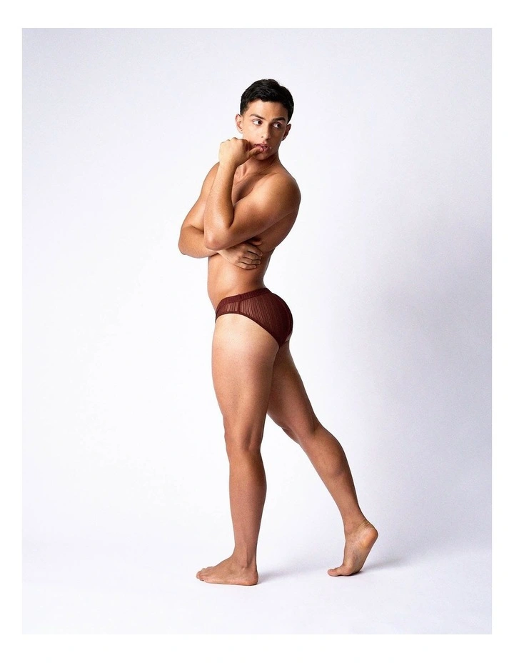 Romeo Sheer Bikini Brief in Mahogany image 3