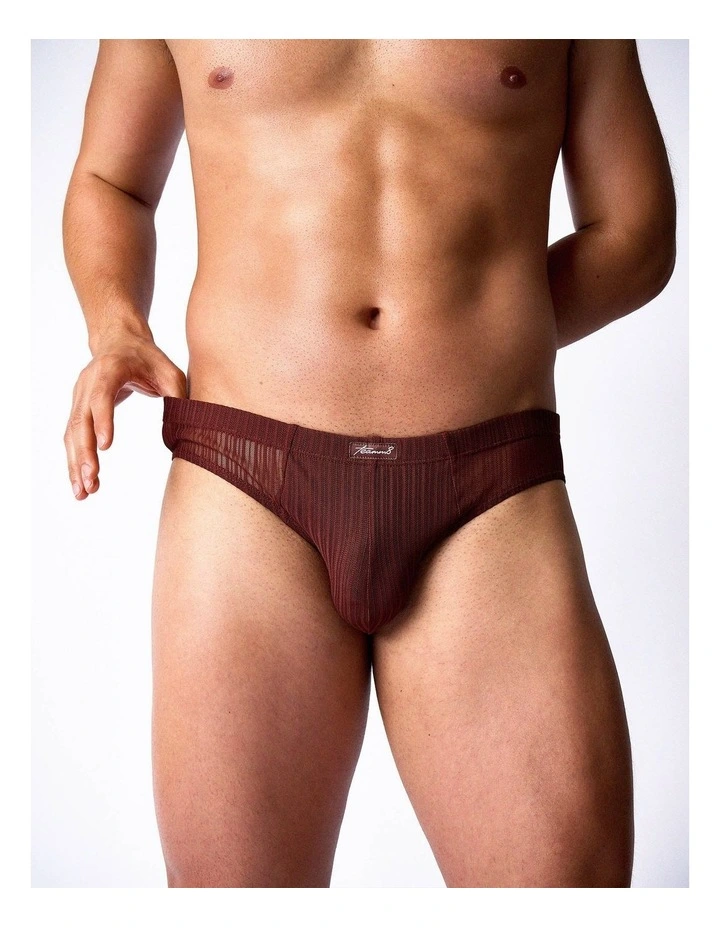 Romeo Sheer Bikini Brief in Mahogany image 5