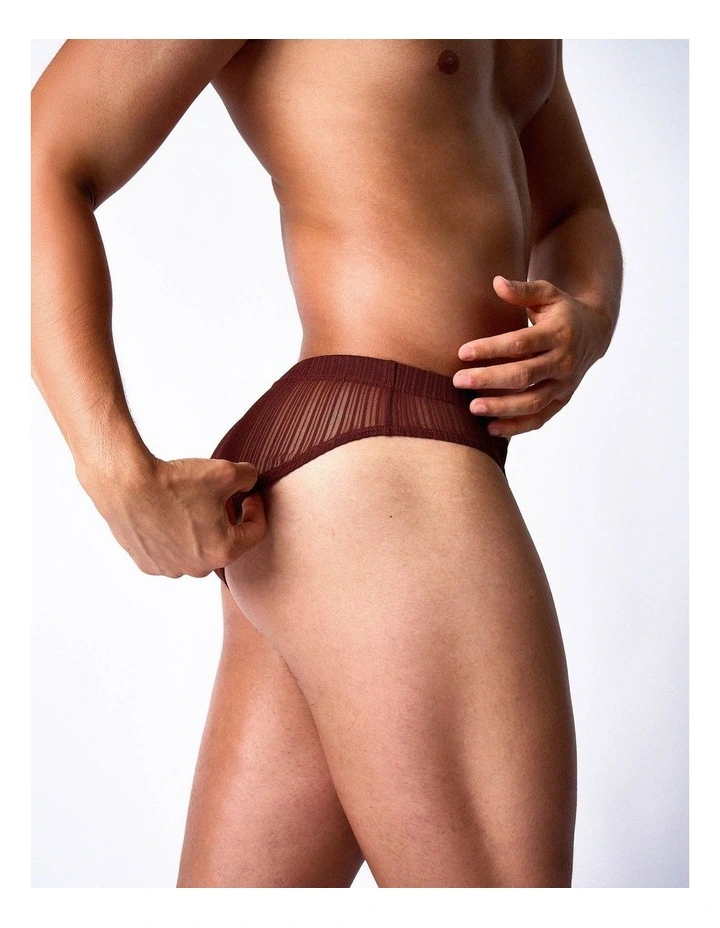 Romeo Sheer Bikini Brief in Mahogany image 6