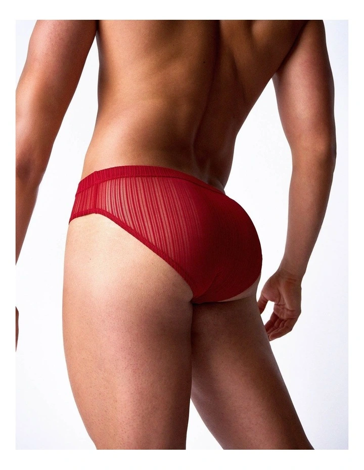 Romeo Sheer Bikini Brief in Cherry image 2