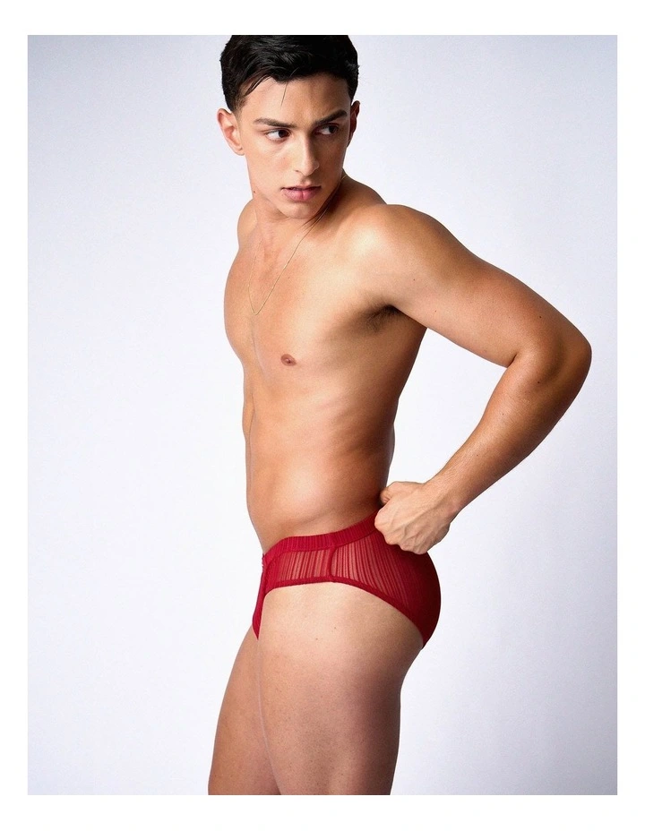 Romeo Sheer Bikini Brief in Cherry image 5