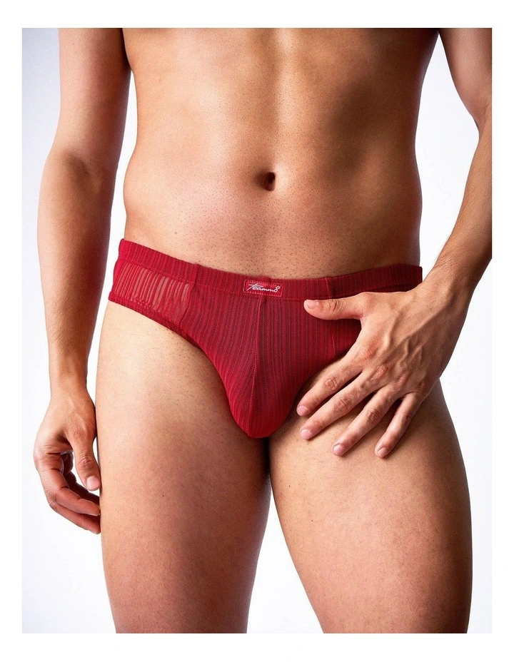 Romeo Sheer Bikini Brief in Cherry image 6