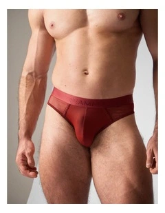 Score Sheer Slim Brief in Shiraz