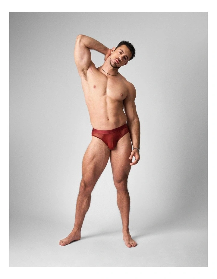 Score Sheer Slim Brief in Shiraz image 2