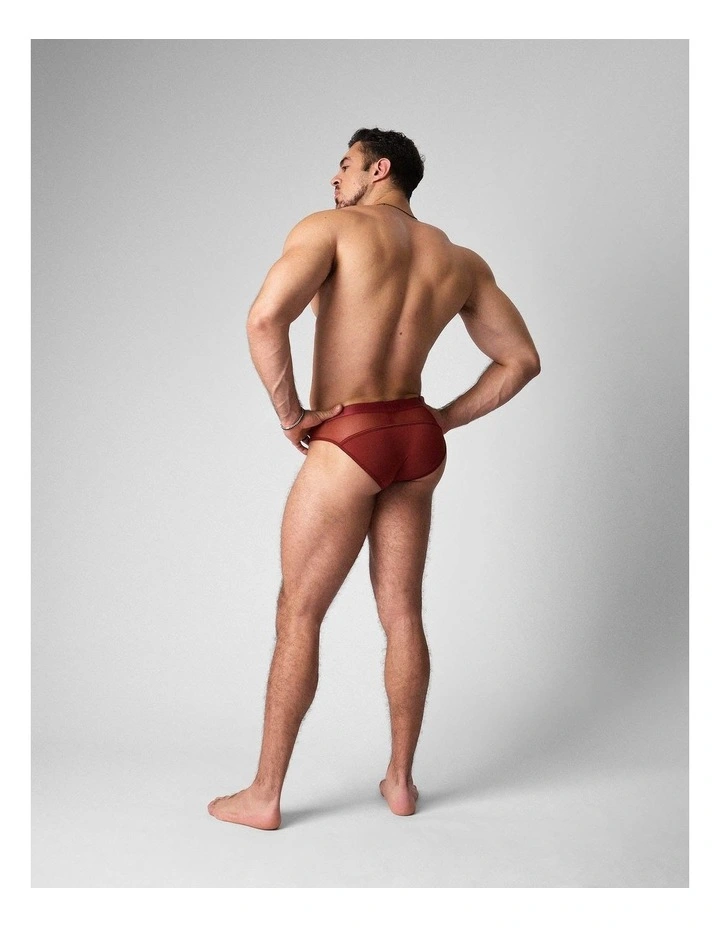 Score Sheer Slim Brief in Shiraz image 3