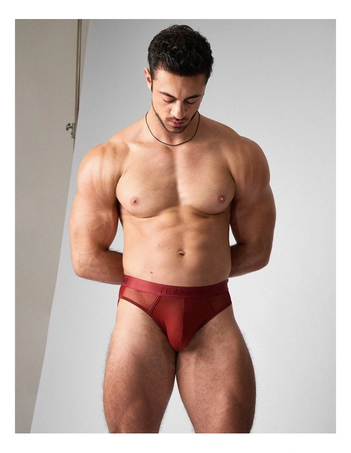 Score Sheer Slim Brief in Shiraz image 4