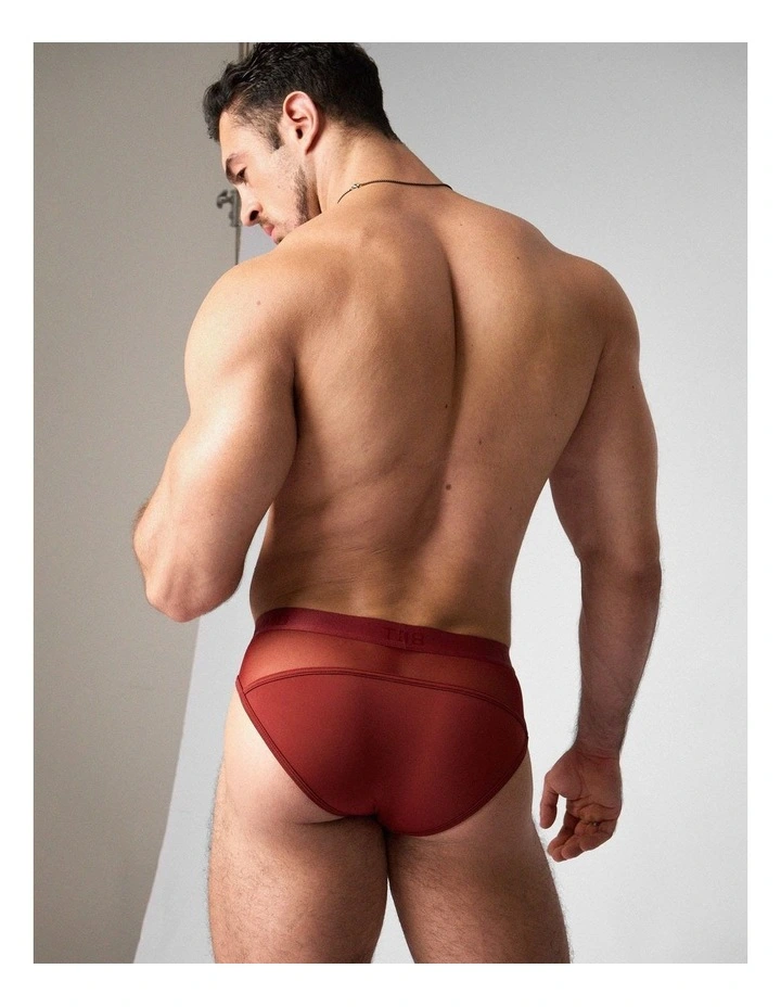Score Sheer Slim Brief in Shiraz image 5