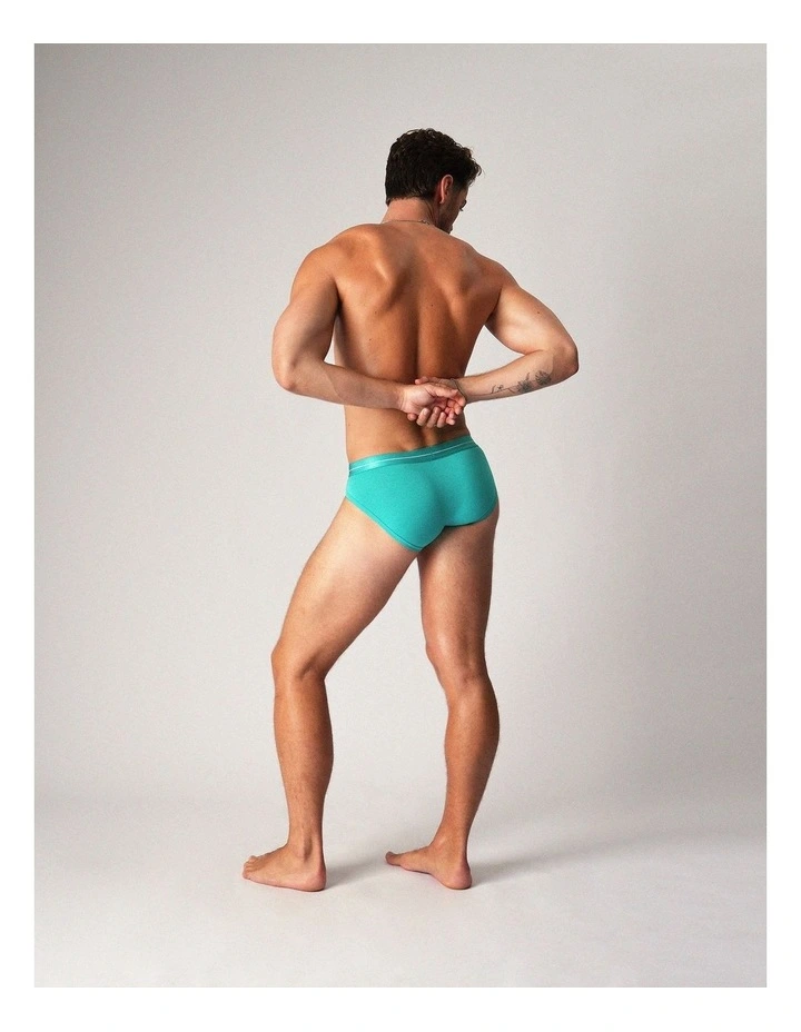 Icon Brief in Patina image 2