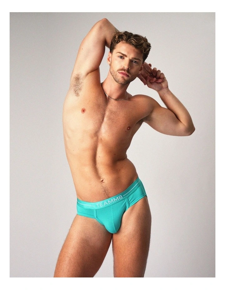 Icon Brief in Patina image 4